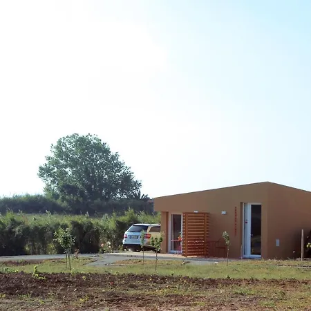 Entre Vinhas & Mar *