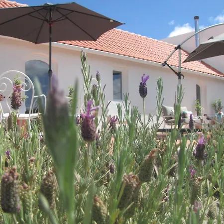 Entre Vinhas & Mar *