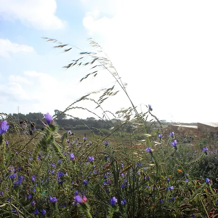Entre Vinhas & Mar Feriegård Óbidos
