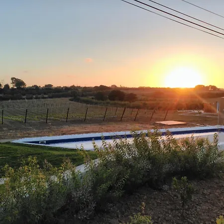 Entre Vinhas & Mar Feriegård *