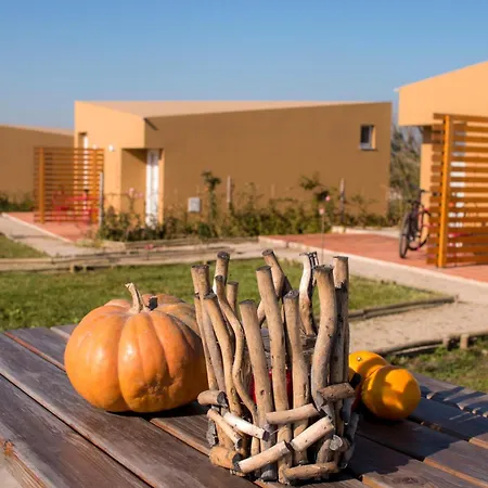Farm stay Entre Vinhas & Mar Obidos