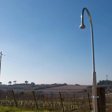 Farm stay Entre Vinhas & Mar Obidos
