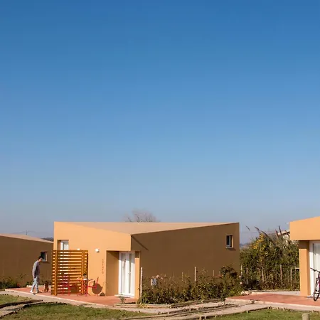 Entre Vinhas & Mar * Óbidos