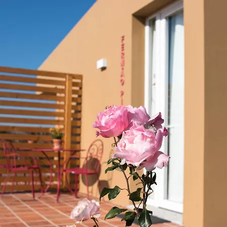 Entre Vinhas & Mar 오비도스