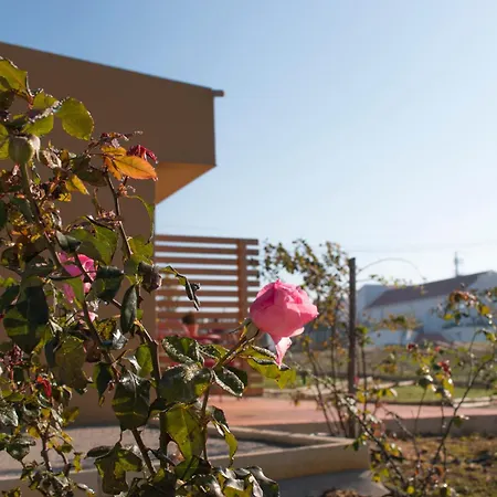 Entre Vinhas & Mar Bauernhof