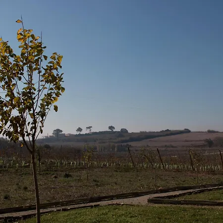 Agroturismo Entre Vinhas & Mar *