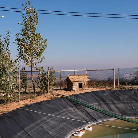 Farm stay Entre Vinhas & Mar *