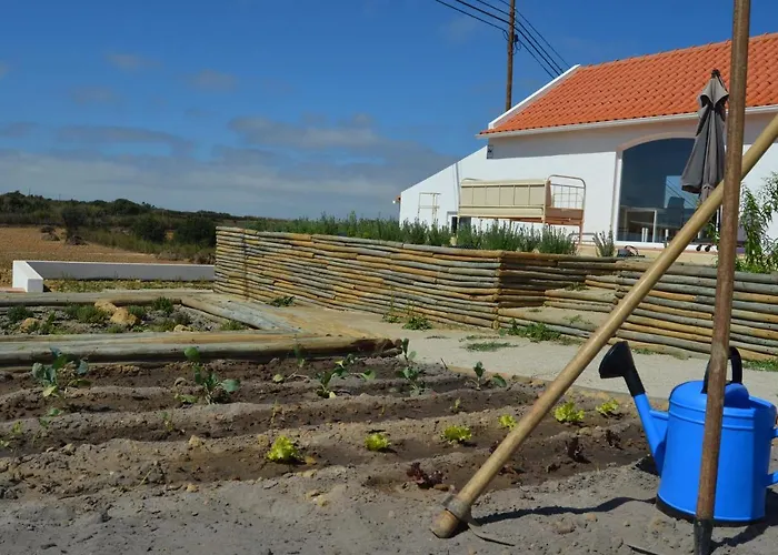 Entre Vinhas & Mar Óbidos