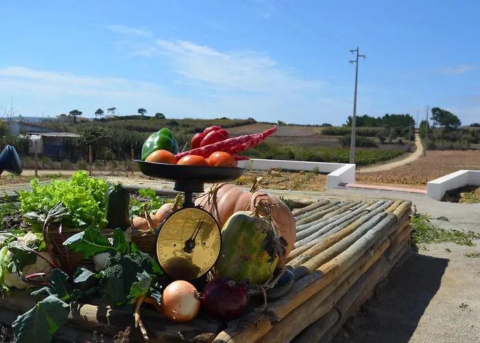 Agroturismo Entre Vinhas & Mar