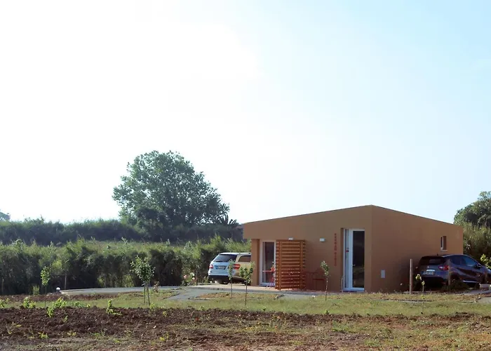 Entre Vinhas & Mar *