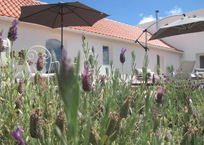 Entre Vinhas & Mar *