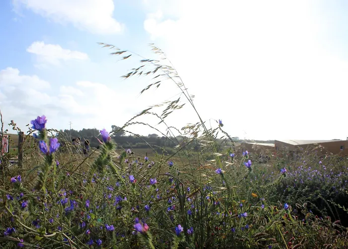 Entre Vinhas & Mar Agroturismo Óbidos