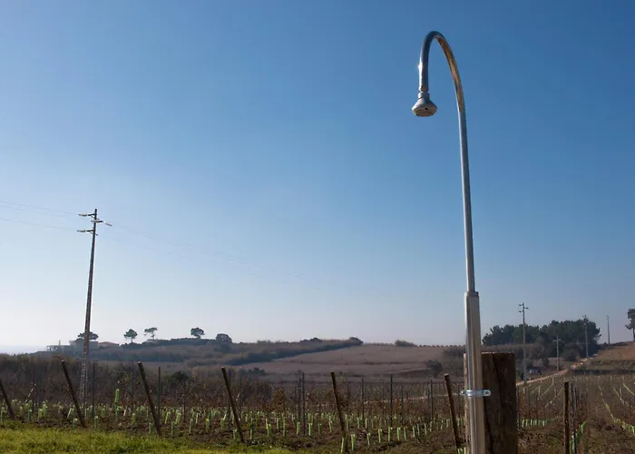 Agroturismo Entre Vinhas & Mar Óbidos