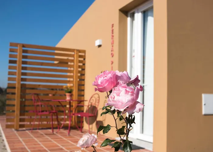 Entre Vinhas & Mar Óbidos