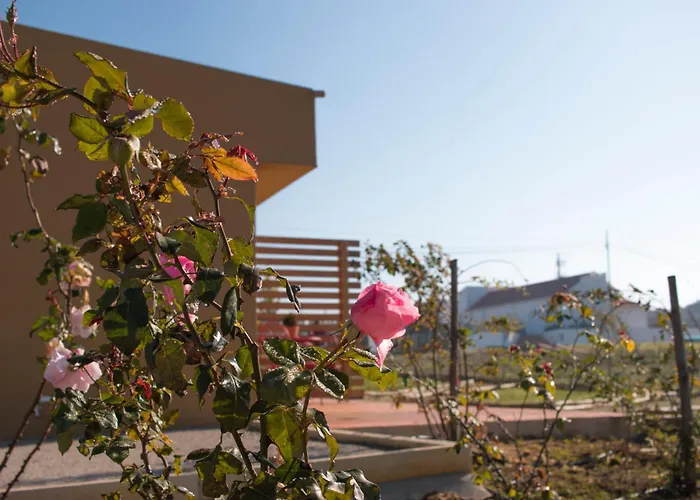 Entre Vinhas & Mar Agroturismo