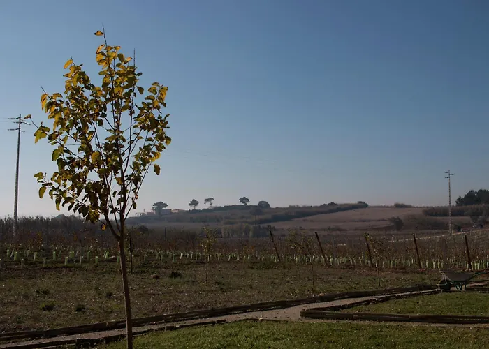 Agroturismo Entre Vinhas & Mar *