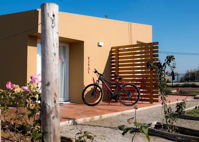 Entre Vinhas & Mar 팜스테이 오비도스