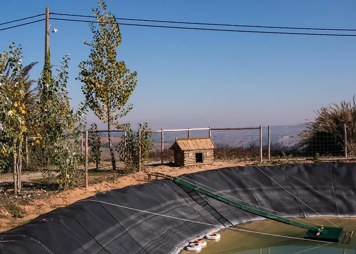 Agroturismo Entre Vinhas & Mar *